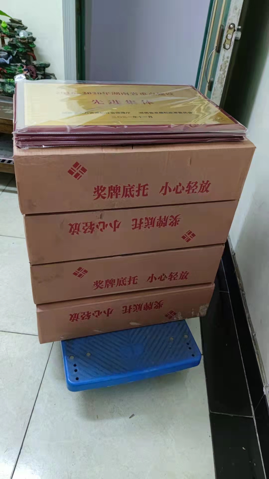 mmexport1647656660843.jpg